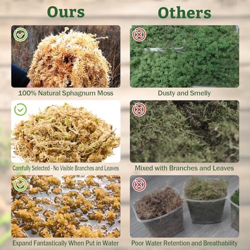 Riare 5.3oz Natural Sphagnum Moss for Reptiles- Terrarium Reptiles Moss