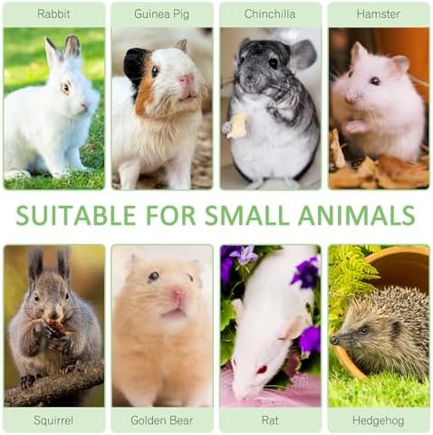 Tfwadmx Small Animal Snacks Sweet Bamboo Molar Treats 200 g Bunny Chew Toys for Chinchilla Rabbit Guinea Pig Hamster Squirrel (About 22-27 Sticks)