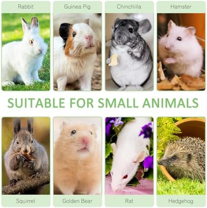Tfwadmx Small Animal Snacks Sweet Bamboo Molar Treats 200 g Bunny Chew Toys for Chinchilla Rabbit Guinea Pig Hamster Squirrel (About 22-27 Sticks)