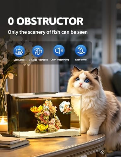 2.5 Gallon Fish Tank Kit with Heater for Betta, Shrimp, Guppy, Acrylic