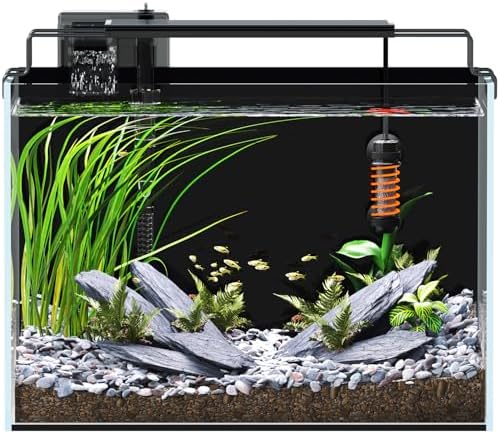 5 Gallon Fish Tank Starter Kit with Heater Filter Light Glass Rimless