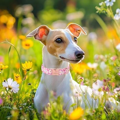 Pink Daisy Dog Collar, Cute Spring Flower Female Pet Collar with Metal Buckle, Soft Adjustable Designer Dog Collars for Small Medium Large Dogs S