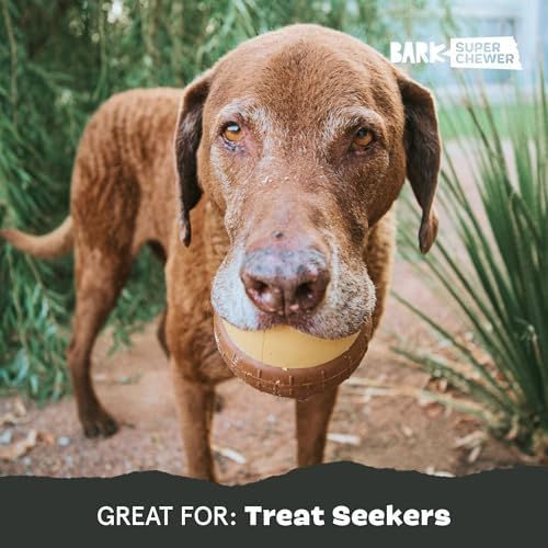 BarkBox Acornucopia Super Chewer - Toy for Large Dogs