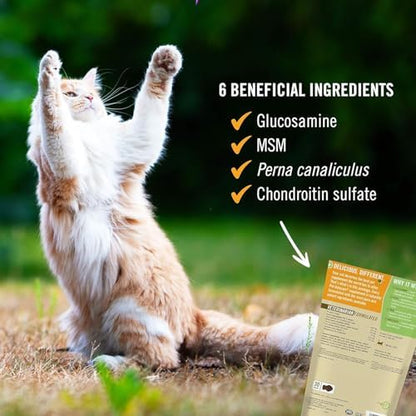 Pet Naturals Hip and Joint Supplement with Glucosamine, Green-Lipped Mussel, and Chondroitin for Cats, Duck Flavor, 30 Chews