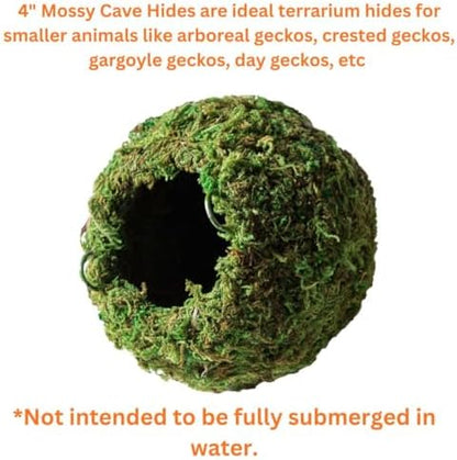 Galápagos (05346) Mossy Cave Hide, 4", Green