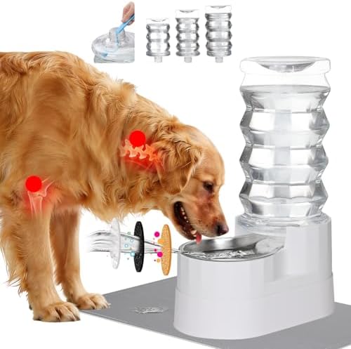 RIZZARI 8L Elevated Dog Water Dispenser: Senior Pets Filtered Hydration