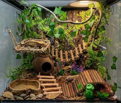 Crested Gecko Tank Accessories, Reptile Bridge and Plants with Coconut Shell Ladder Hideout, Natural Terrarium Decor for Lizard, Chameleon, Leopard Gecko, Snake, Hermit Crab and Tortoise (Group C)