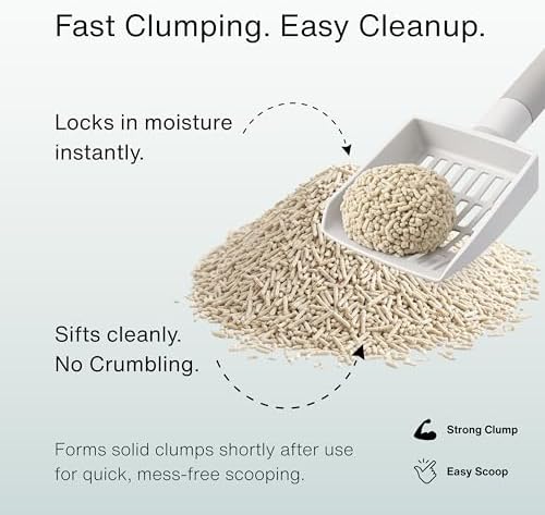 Rawry Tofu Cat Litter, Flushable, Fast Clumping, Unscented, 7.7 lb Bag