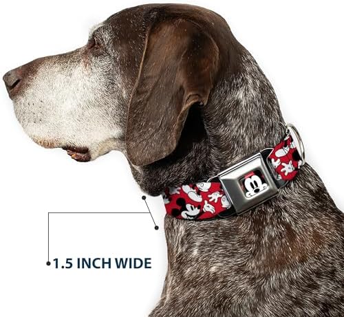 Buckle-Down Seatbelt Buckle Dog Collar - Steamboat Willie Scenes Film Strip White/Black - 1.5" Wide - Fits 16-23" Neck - Medium