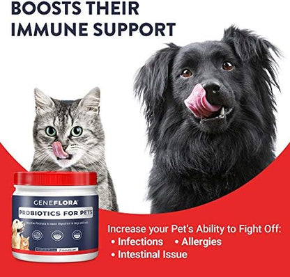 Geneflora Digestive Enzymes Prebiotics & Pet Probiotics 125 Grams, Unflavored, 2 Pack