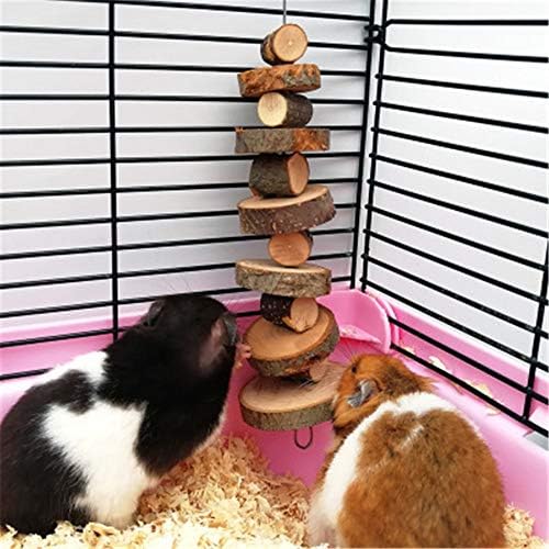 ANDES Rabbit Chew Toys, Pet Bunny Tooth Chew Toys Organic Natural Apple Wood Grass Cake Ideal for Bunny, Chinchilla, Guinea Pigs, Hamsters Teeth Grinding, Bird Exercise Molar (13PCS)