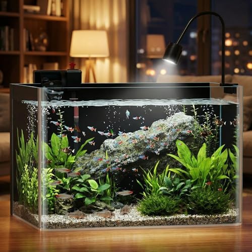 6 Gallon Hot-Bent Black-Back Fish Tank, Aquarium Fish Tank,Easy to Maintain Small Aquarium for Betta/Goldfish/Snails/Shrimp and Aquatic Planting, Perfect for Home, Office, and Decor