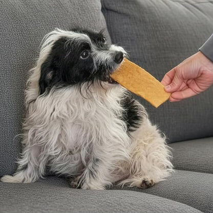 Fieldcrest Farms Nothin to Hide Flip Chips Dog Chews - Natural Rawhide Alternative Treats for Dogs, Collagen Based Snack for Moderate Chewers Up to 35lbs, Peanut Butter Flavor -1 Pack (8 Chips)