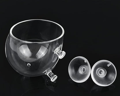 DS. DISTINCTIVE STYLE Aquatic Plant Cups 2 Pieces Crystal Glass Plant Pot with 2 Suction Cups for Aquarium Decoration