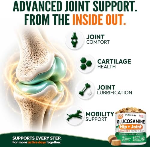 (2 Pack) Glucosamine for Dogs, 340 Chews, Hip and Joint Supplement for Dogs