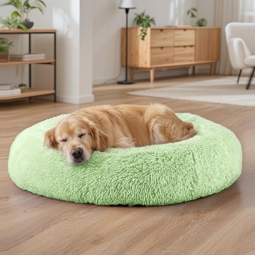 Dog Beds Large Sized Dog and Cats, 32in Pet Beds for Large Pet (Green)