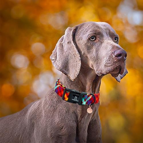Lionheart glory Fall Plaid Dog Collar-Cute Orange Dog Collars with Plastic Buckle Duty Soft Adjustable Collar for Small Dogs Girls Boys Collars Party Pet Gift