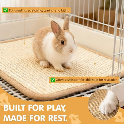 Rabbit Scratching Pad, 2PCS Natural Sisal Bunny Mat,16x12in | Bunny Toys, Rabbit Toys, Rabbit Chewing Mat, Rabbit Bedding, Sisal Mats for Bunnies, Bunny Nail Scratch Pads