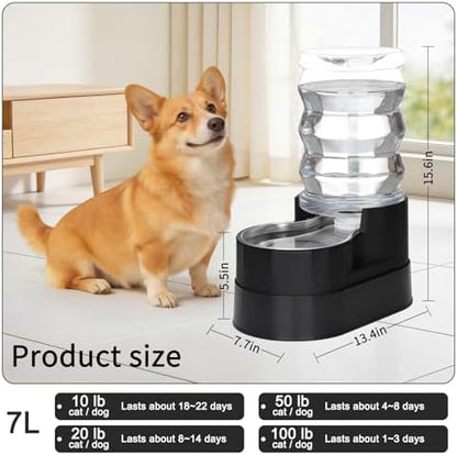 RIZZARI 7L Raised Dog Water Dispenser: Stable Base Design
