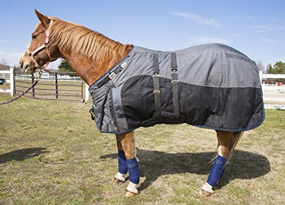 Intrepid International Polo Wraps for Horses Set of 4 Cotton Bandage Wrap, Horse Leg Wraps, Vet Wrap for Horses, Horse Size, Exercise Training Bandage