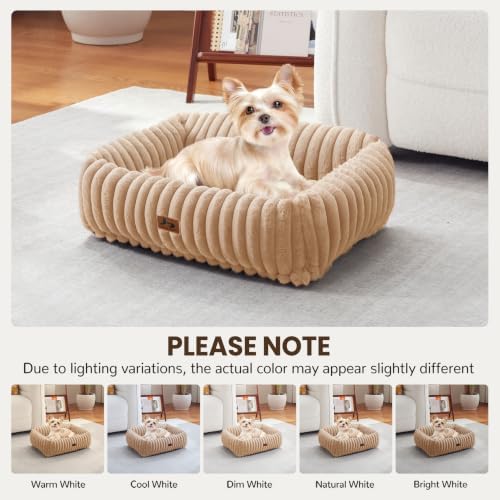 Cute Dog Bed for Small Dogs & Cats,Washable Fluffy Cat Beds for Indoor Cats, Rectangle Orthopedic Memory Foam Puppy Beds with Anti-Slip Bottom, 20 x19 x 7 Inches, Camel
