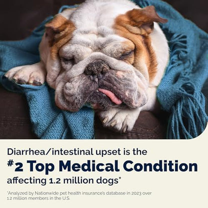 Vetnique Glandex Rapid Digestive Support for Dogs, Pumpkin + 7 Probiotics