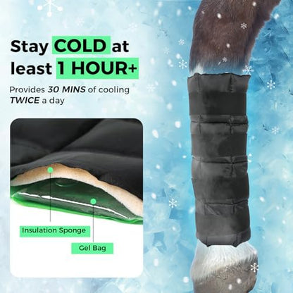 Ice Boots for Horses, Horse Ice Boots, Black & Green, 4 Pack