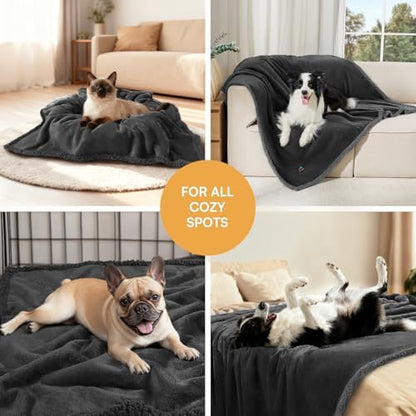Waterproof Pet Blanket, Liquid Pee Proof Dog Blanket for Sofa Bed Couch, Reversible Sherpa Fleece Furniture Protector Cover for Small Medium Large Dogs Cats, Black Small（40" x 28"）
