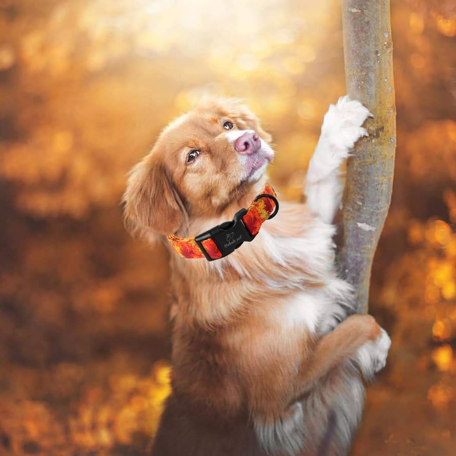 Fall Dog Collar, Gold Maple Leaves Print Puppy Collar L