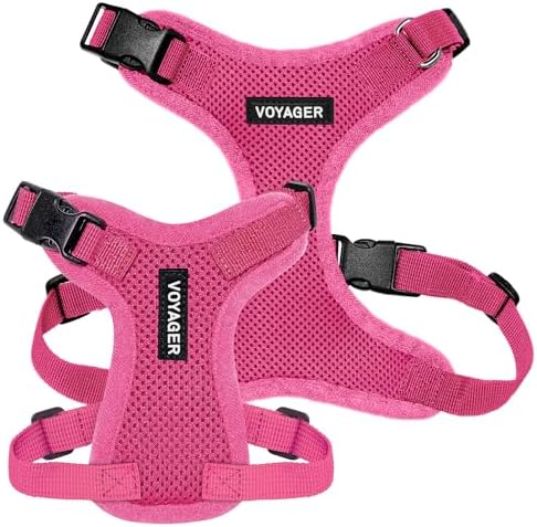 Voyager Step-in Lock Dog Harness - Fuchsia, Medium