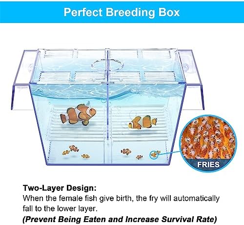 DaToo Fish Breeding Box Aquarium Holding Tank Transparent Fish Isolation Box Acclimation Hatchery Incubator Breeder for Betta Shrimp Clownfish Guppy