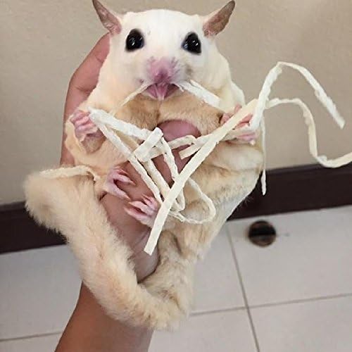 1 Sachet Sugar Glider, Hamster, Squirrel, Hedgehog, Chinchillas, Rabbit, Ferret, Small Exotic Pet Food Supplies Fish Snack 30 g. + 10% Bonus = 33 g.