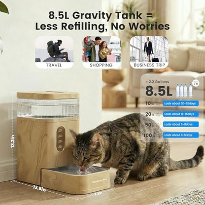2.2 Gallon Automatic Dog Water Dispenser with Stainless Steel Bowl
