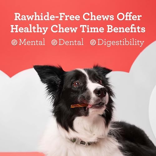 DreamBone Twisties Rawhide-Free Dog Treats with Real Protein, 25 Count