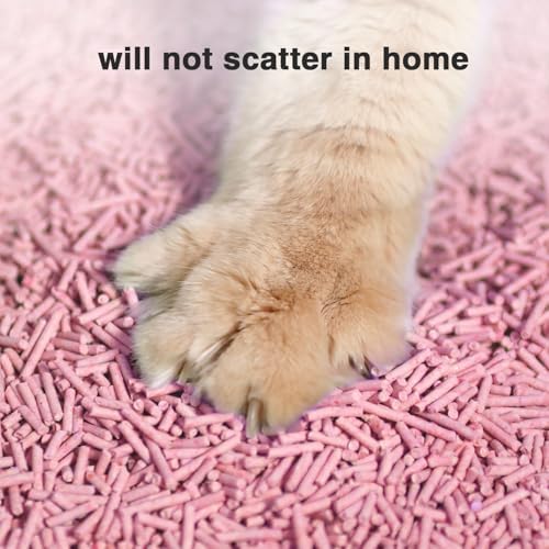 Dust-Free Quickly Absorb Odors Natural Tofu Cat Litter 12LB/Pe