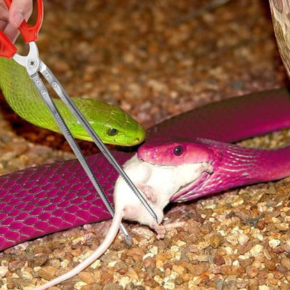 Vodolo Snake Feeding Tongs,2PCS 15 Inch Reptile Feeding Tongs,Extra Long Large Tweezers for Corn Ball Python Accessories,Bearded Dragon Reptile Gecko Tank Accessories Terrarium Supplies
