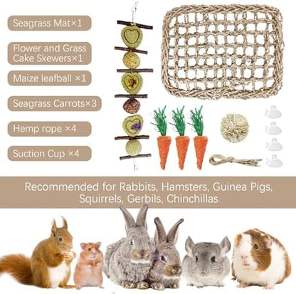 Hamiledyi Rabbit Seagrass Activity Mat Bunny Toy Hanging Rabbit Chew Toys for Teeth Bunny Enrichment Toys Seagrass Protector Mat Small Animal Toys for Chinchilla Guinea Pigs Hamsters Rats Rodent