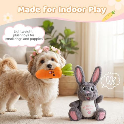 Squeaky Dog Toys for Small & Medium Dogs - Keep Them Happily Playing