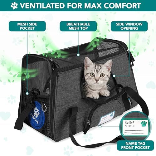 PetAmi Airline Approved Pet Carrier Cats Small Dogs, Large Heather Charcoal