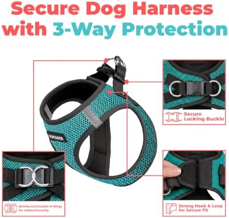 Voyager Step-in Air Dog Vest Harness - Turquoise 2-Tone, X-Small
