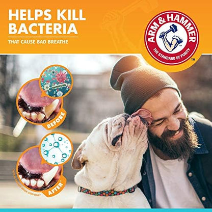 Arm & Hammer Fresh Breath Enzymatic Dog Toothpaste, Chicken, 2.5 Oz, 72-Pk