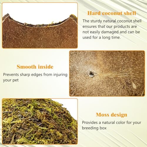 PINVNBY 2 Pack Natural Green Moss Hide Caves Coconut Reptile Hideouts Hamster Climbing Toys Gecko Habitat Decor Lizard Shell Shelter for Snake Tarantulas Turtle Chameleon