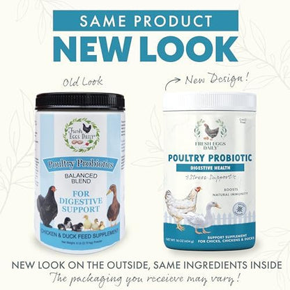Fresh Eggs Daily Poultry Probiotics Feed Supplement – Natural Digestive & Immune Support for Chickens & Ducks – Enhances Egg Quality & Reduces Odor – 1 lb