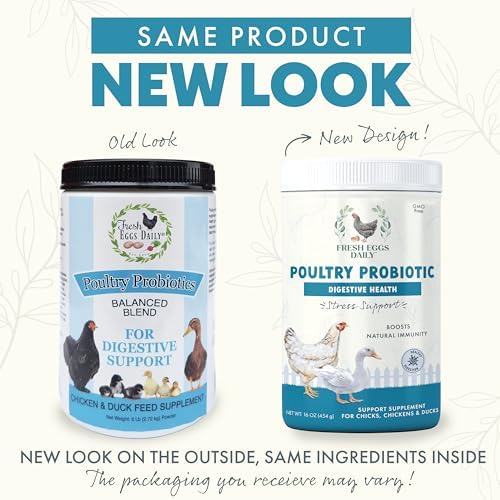 Fresh Eggs Daily Poultry Probiotics Feed Supplement – Natural Digestive & Immune Support for Chickens & Ducks – Enhances Egg Quality & Reduces Odor – 1 lb