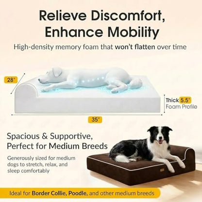 5.5 Inch Thick High Grade Orthopedic Memory Foam Dog Bed With Pillow and Easy to Wash Removable Cover with Anti-Slip Bottom. Free Waterproof Liner Included - for Medium and Large Breed Dogs - Brown