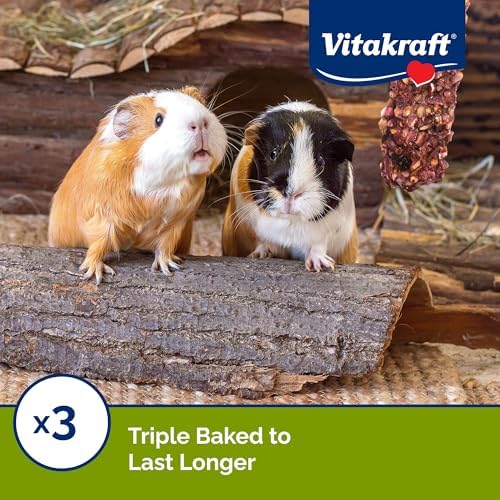 Vitakraft Crunch Sticks Guinea Pig Chewable Treats - Grain and Honey - Supports Healthy Teeth (Pack of 2)