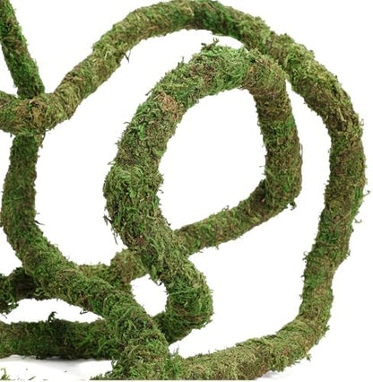 USMOLA Moss Vine for Reptiles, Bendable Climbing Vines Reptile Tank Accessories, Natural Moss Rope for Leopard Gecko, Lizard, Snake, Chameleon, Frog Terrarium Decor (Jungle Green, 9.8 FT)