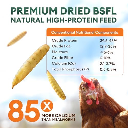 BUCATSTATE Dried Black Soldier Fly Larvae for Chickens and Ducks, 10LB