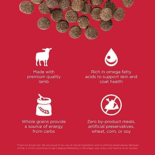 Go! Solutions Skin + Coat Care Lamb Dry Dog Food, 12 lb