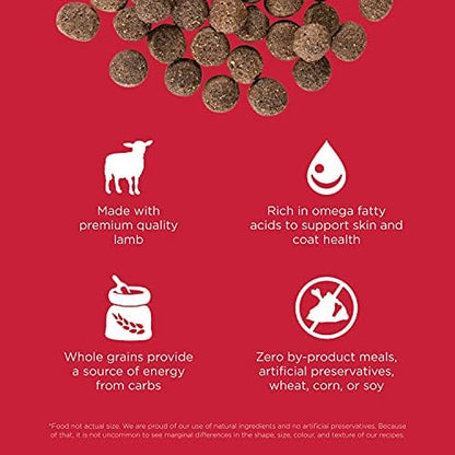 Go! Solutions Skin + Coat Care Lamb Dry Dog Food with Grains, Chicken-Free, Healthy Kibble with Omega-3s & 6s for Soft, Shiny Fur, for Puppies, Adults, & Seniors, 22 lb Bag